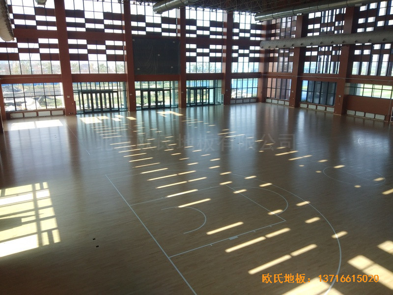 �ӱ����̴�W��У�^�@���^�w��ľ�ذ尲�b����5