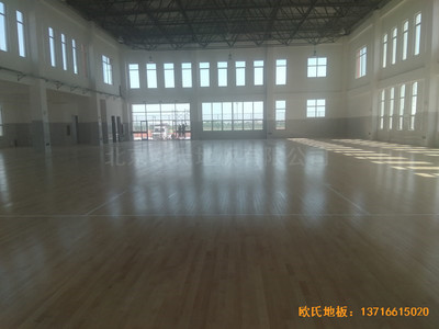 ɽ�|մ���������С�W(xu��)�w���^�\��ľ�ذ���O(sh��)����