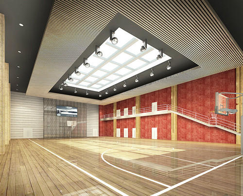 體育運(yùn)動地板 體育運(yùn)動地板