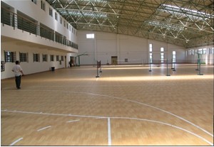 室內(nèi)運(yùn)動地板 室內(nèi)運(yùn)動地板