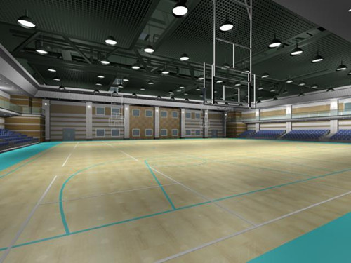 運動地板 運動木地板 運動地板 運動木地板