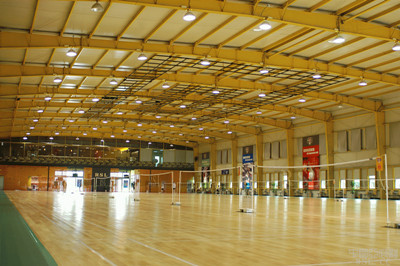 ��(sh��)ľ�\(y��n)��(d��ng)�ذ�