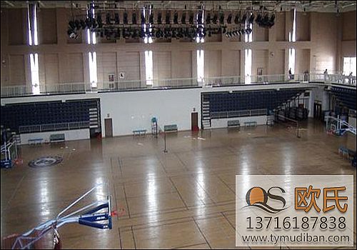 實(shí)木運(yùn)動(dòng)地板 實(shí)木運(yùn)動(dòng)地板