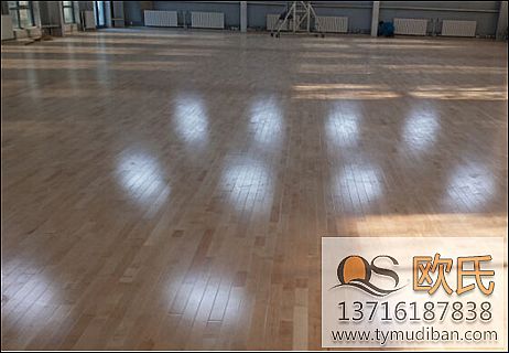 運(yùn)動木地板 運(yùn)動木地板