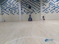 ������ľ���_(t��i)�\(y��n)��(d��ng)�w���ذ��^�õ�����Щ����