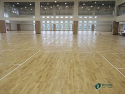 購買俄勒岡松舞臺運動地板哪個牌子較好